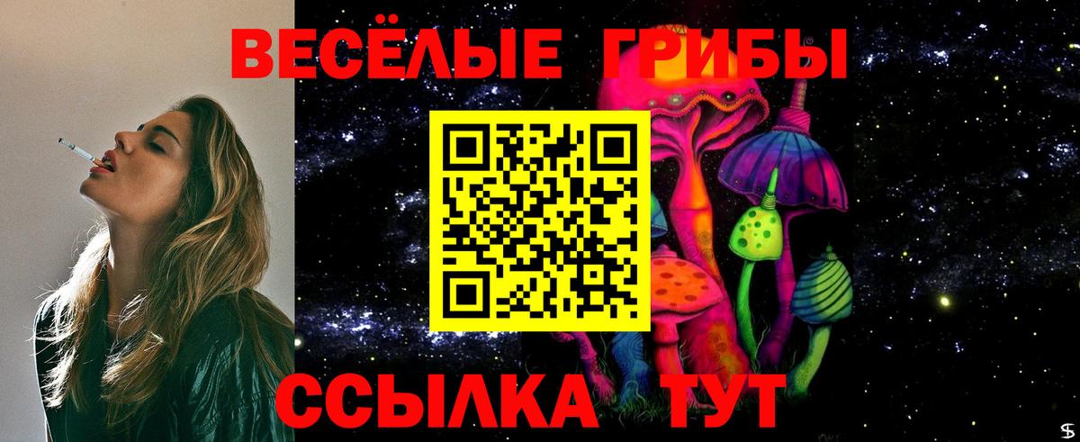 Псилоцибиновые грибы Cubensis  закладки  Аша  Вход с VPN  Псилоцибиновые грибы GOLDEN TEACHER 